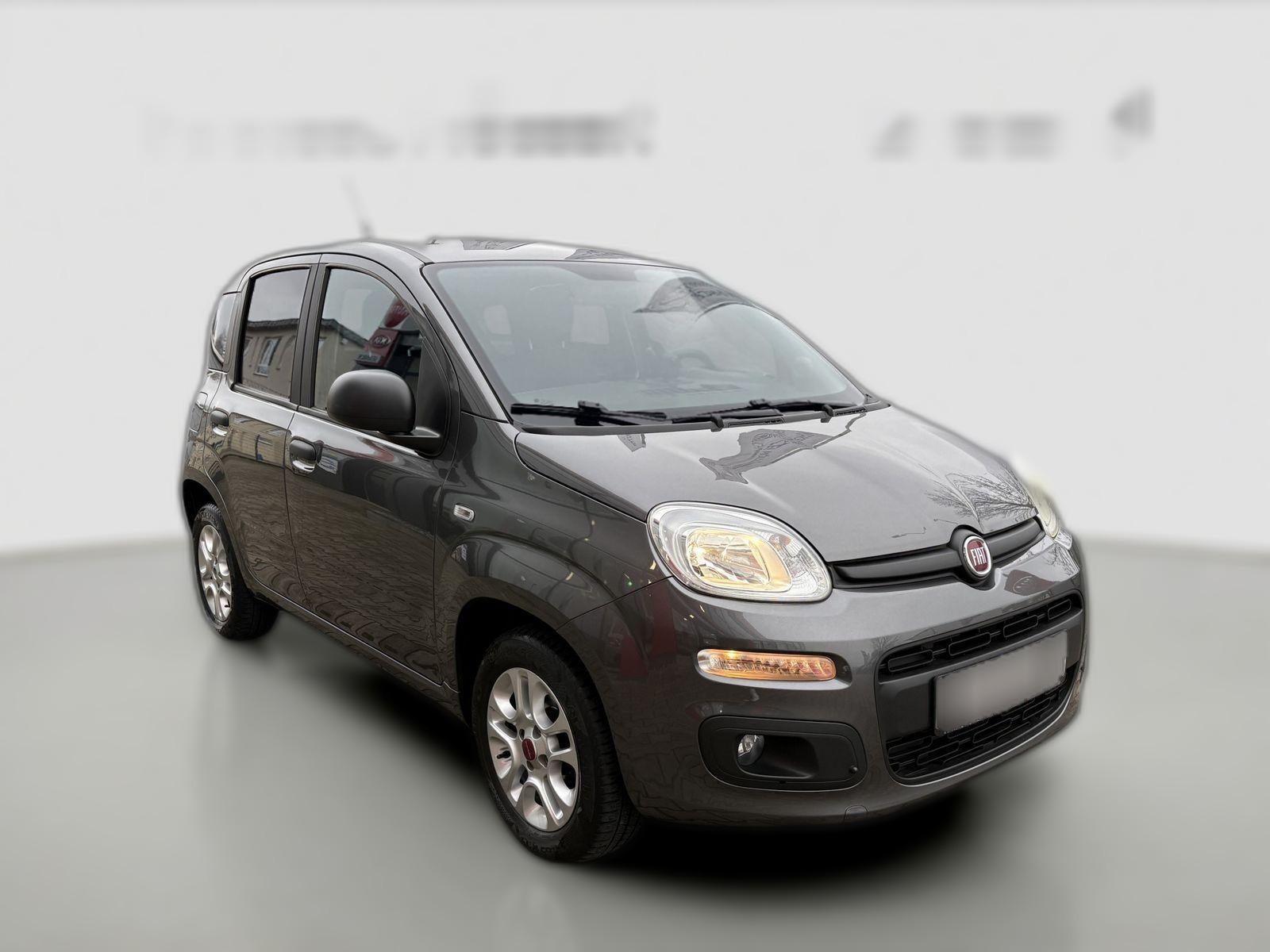 FIAT Panda 1.2 Easy Serie 2